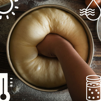 How Summer Changes Your Bread Dough