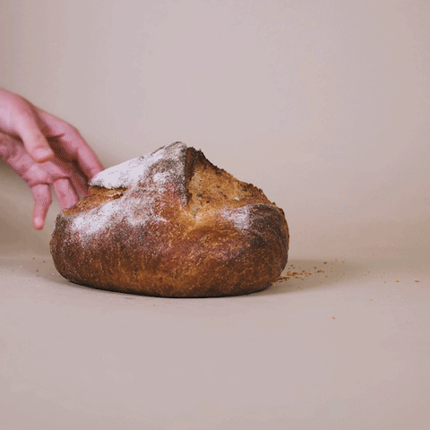 Heritage Whole Wheat Flour