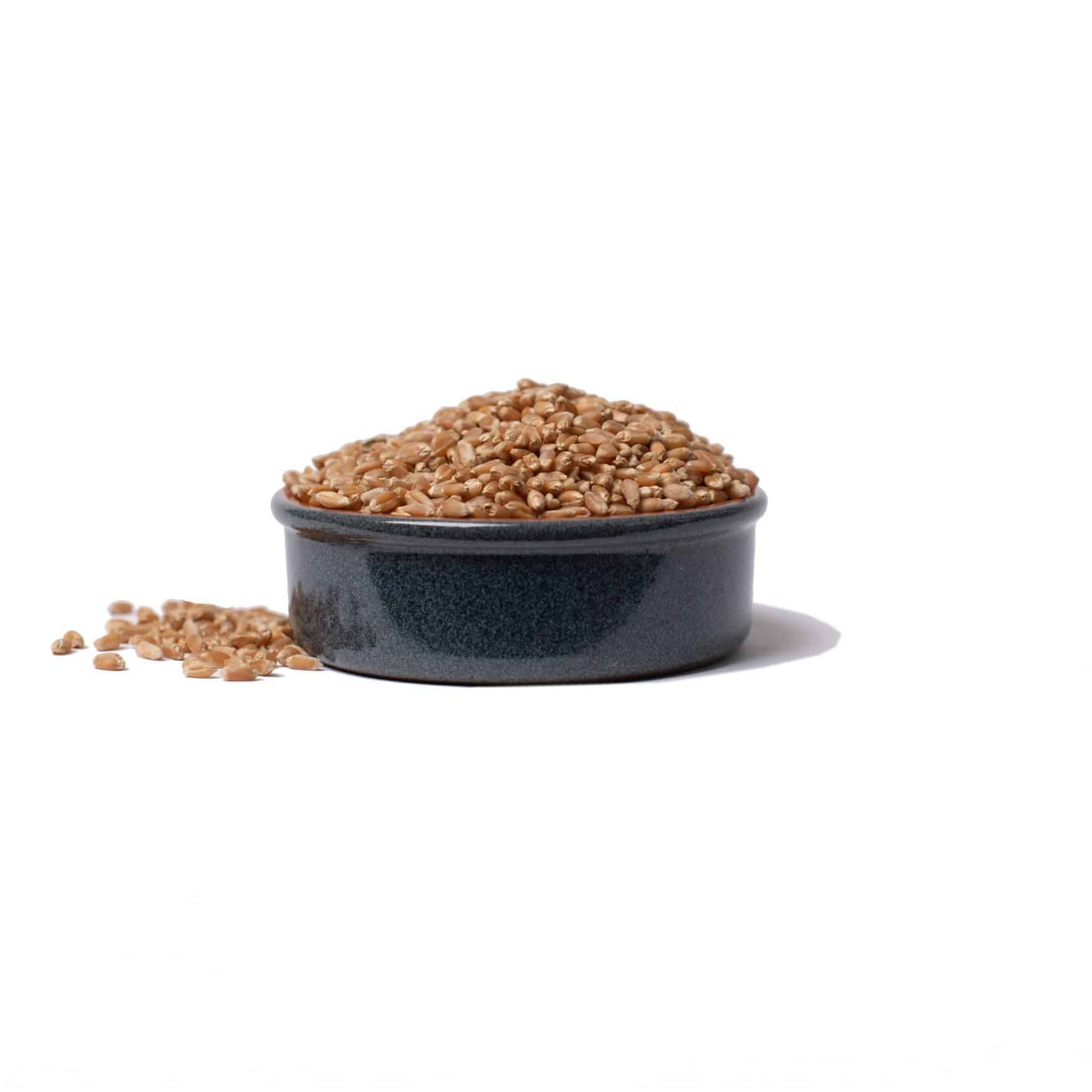 Heritage Hard Red Wheat Berries