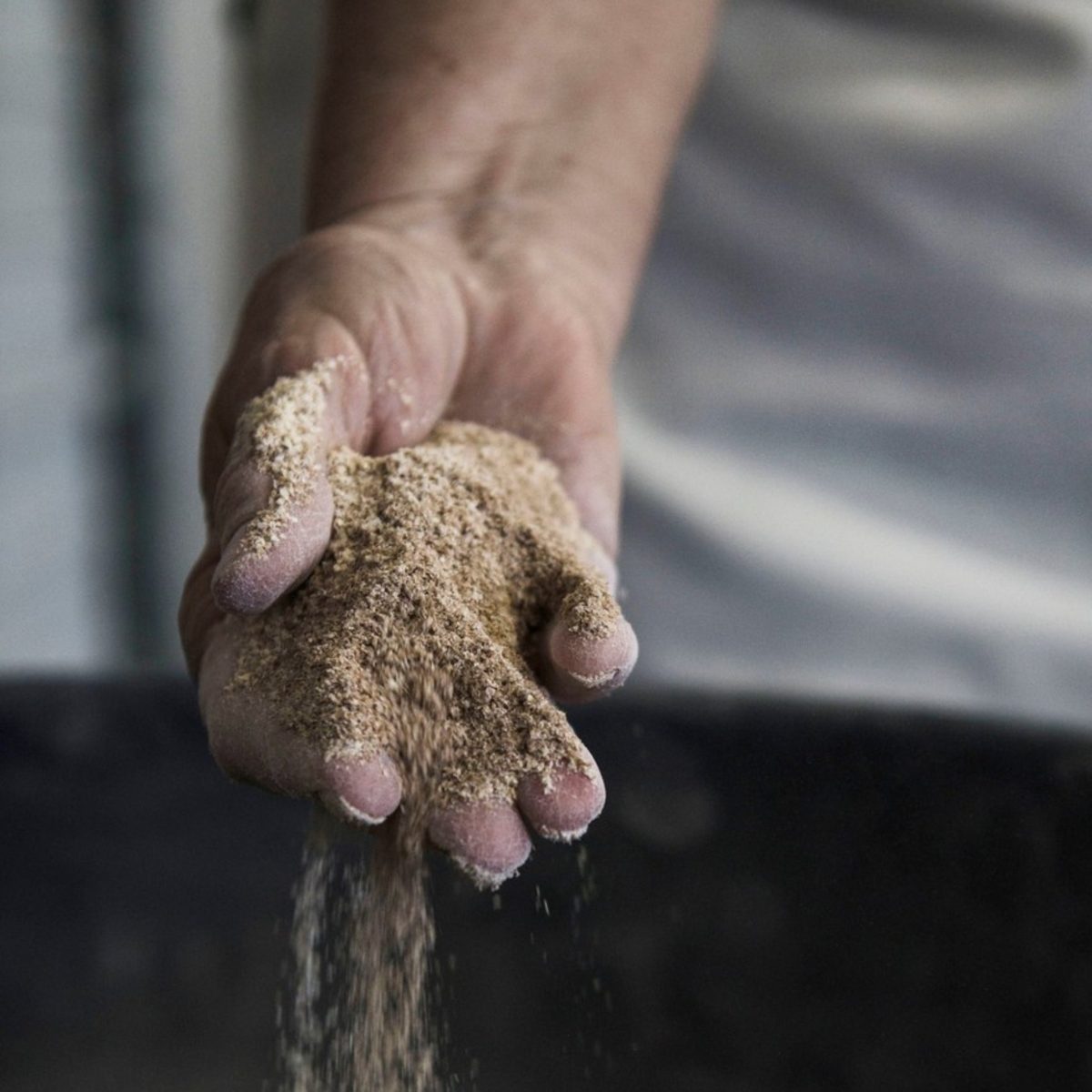 Fresh-milled flour falling from a hand