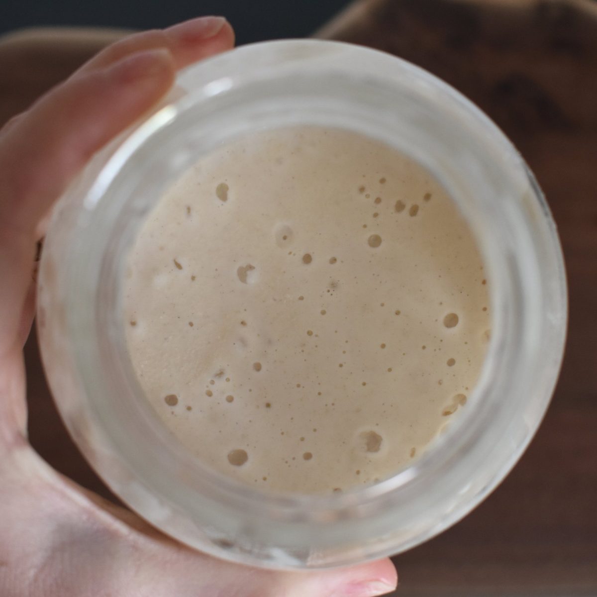 Hand holding a jar of bubbly sourdough starter, seen from above