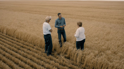 Heritage Wheat and Human Health