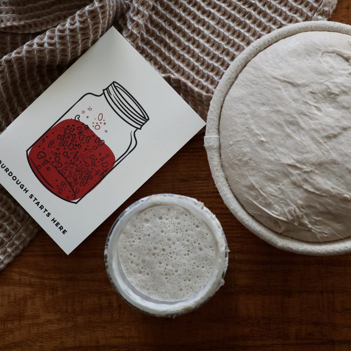 Jar of bubbly starter beside a bowl of dough and a Sourdough Starts Here card